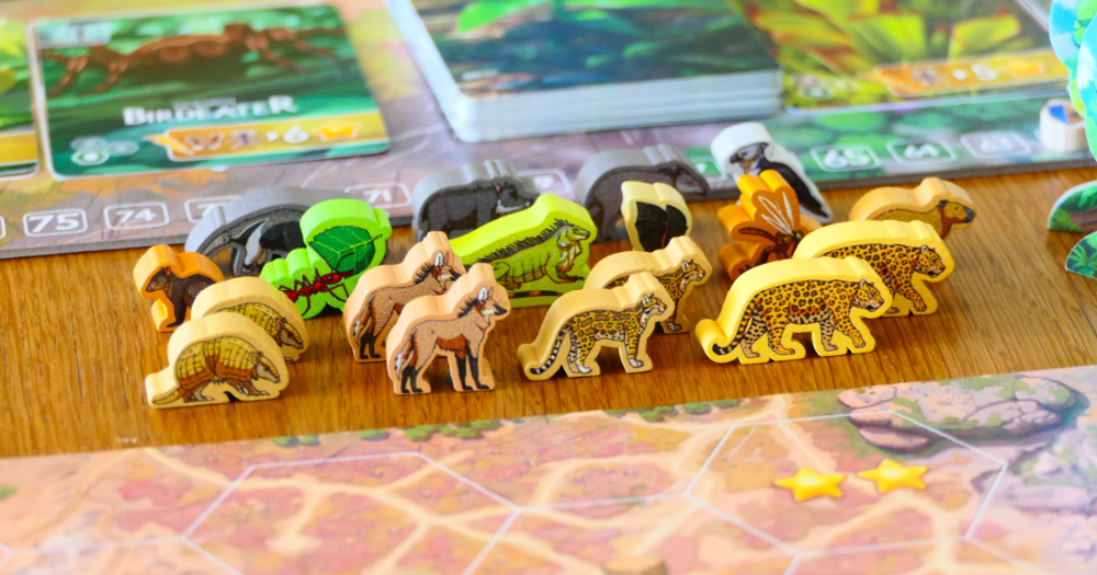 Rewild: América do Sul