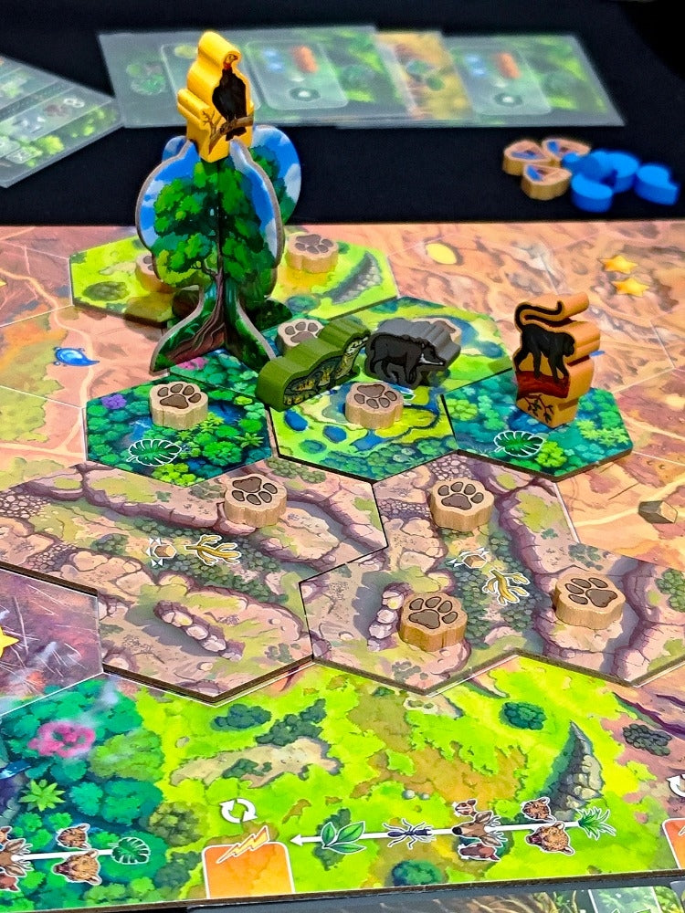 Rewild: América do Sul