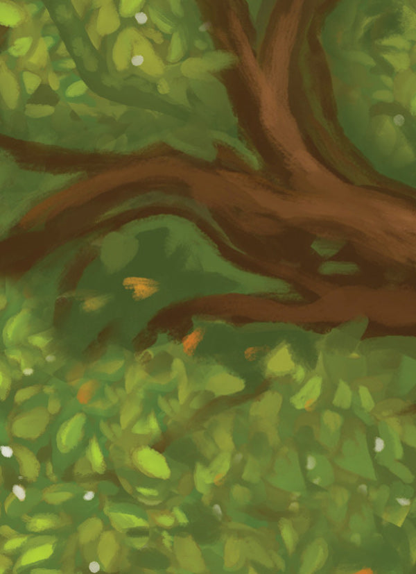 Everdell Bellfaire Expansão