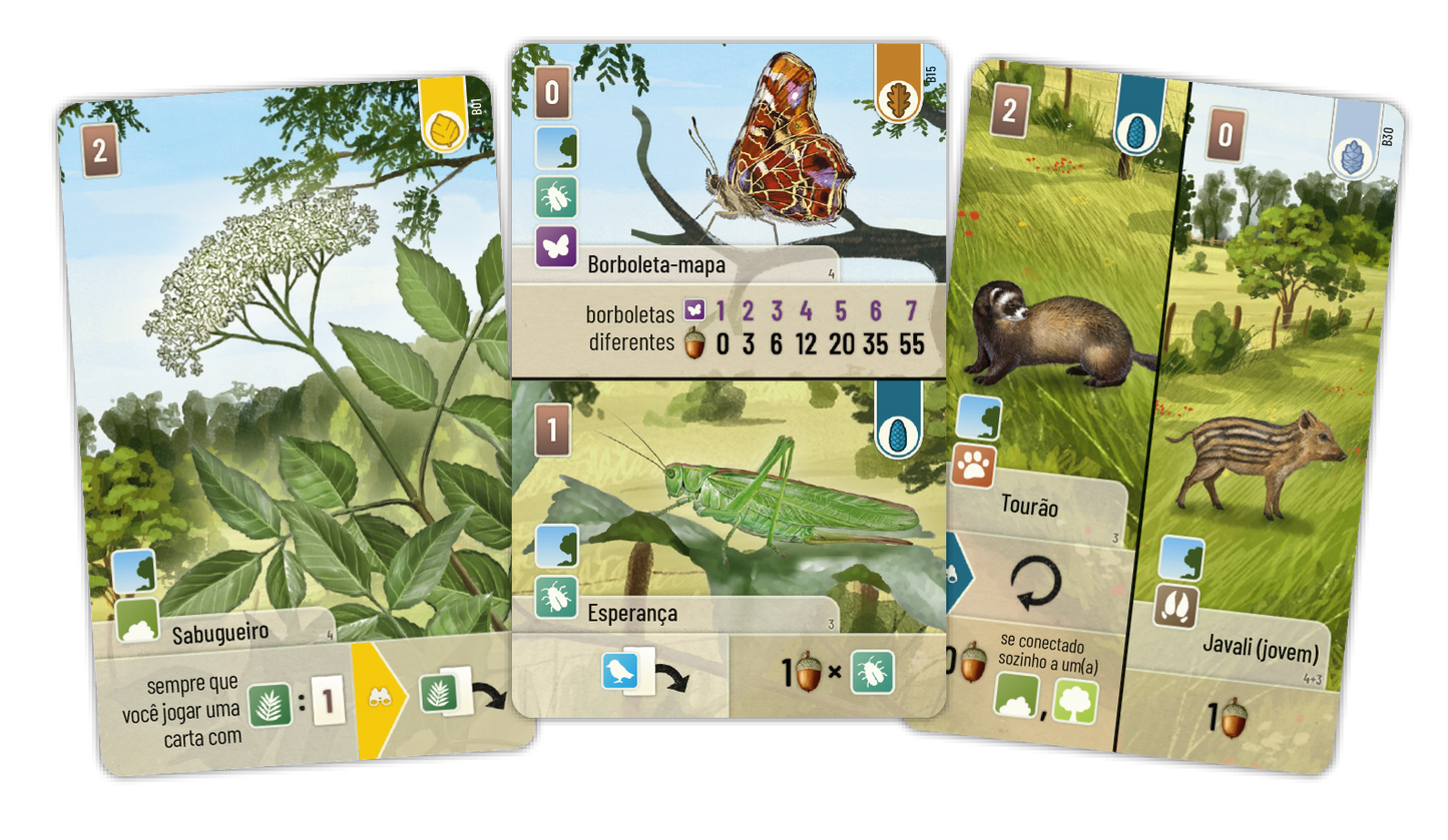 Forest Shuffle: Borda da Floresta Expansão