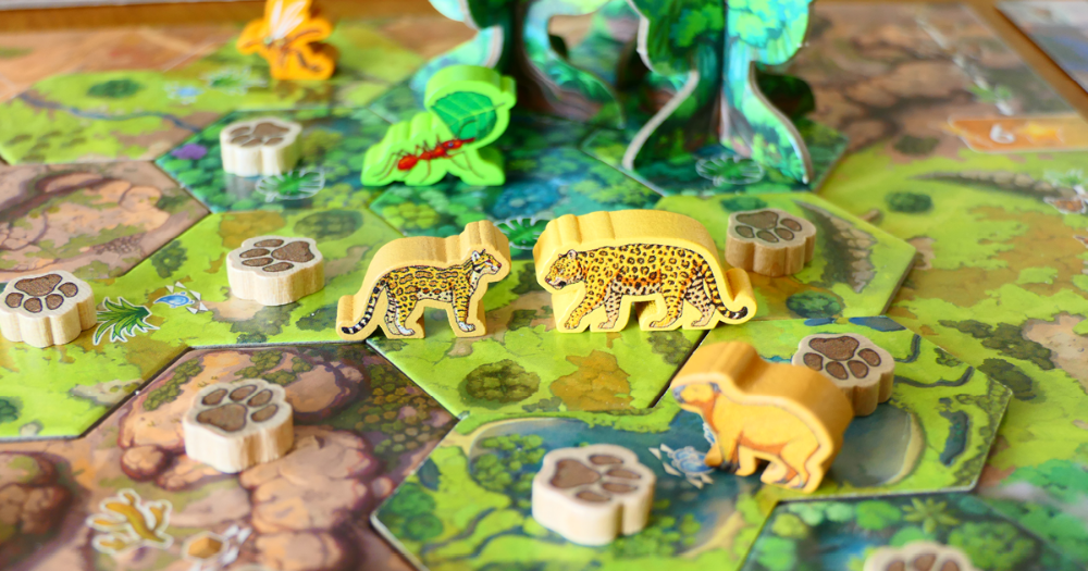 Rewild: América do Sul