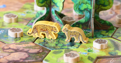 Rewild: América do Sul